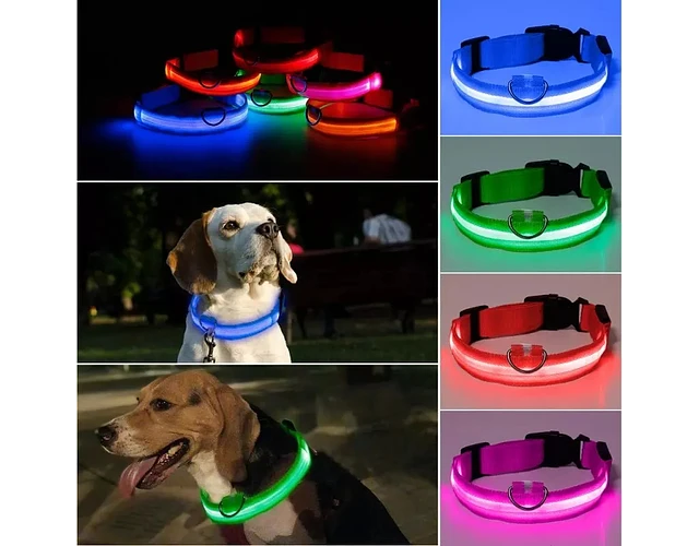 Dulce Girasol- ✨ Collar LED para Mascotas: ¡Visibilidad y Estilo en Cada Paso! 🐾