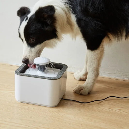 Dulce Girasol- Fuente de Agua Automática para Mascotas🐈🦮