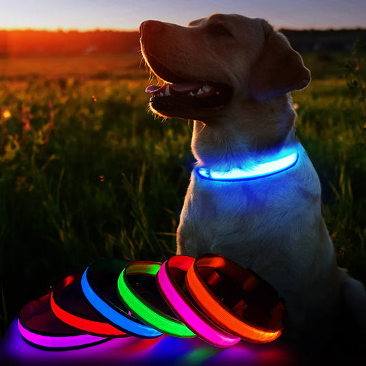 Dulce Girasol- ✨ Collar LED para Mascotas: ¡Visibilidad y Estilo en Cada Paso! 🐾