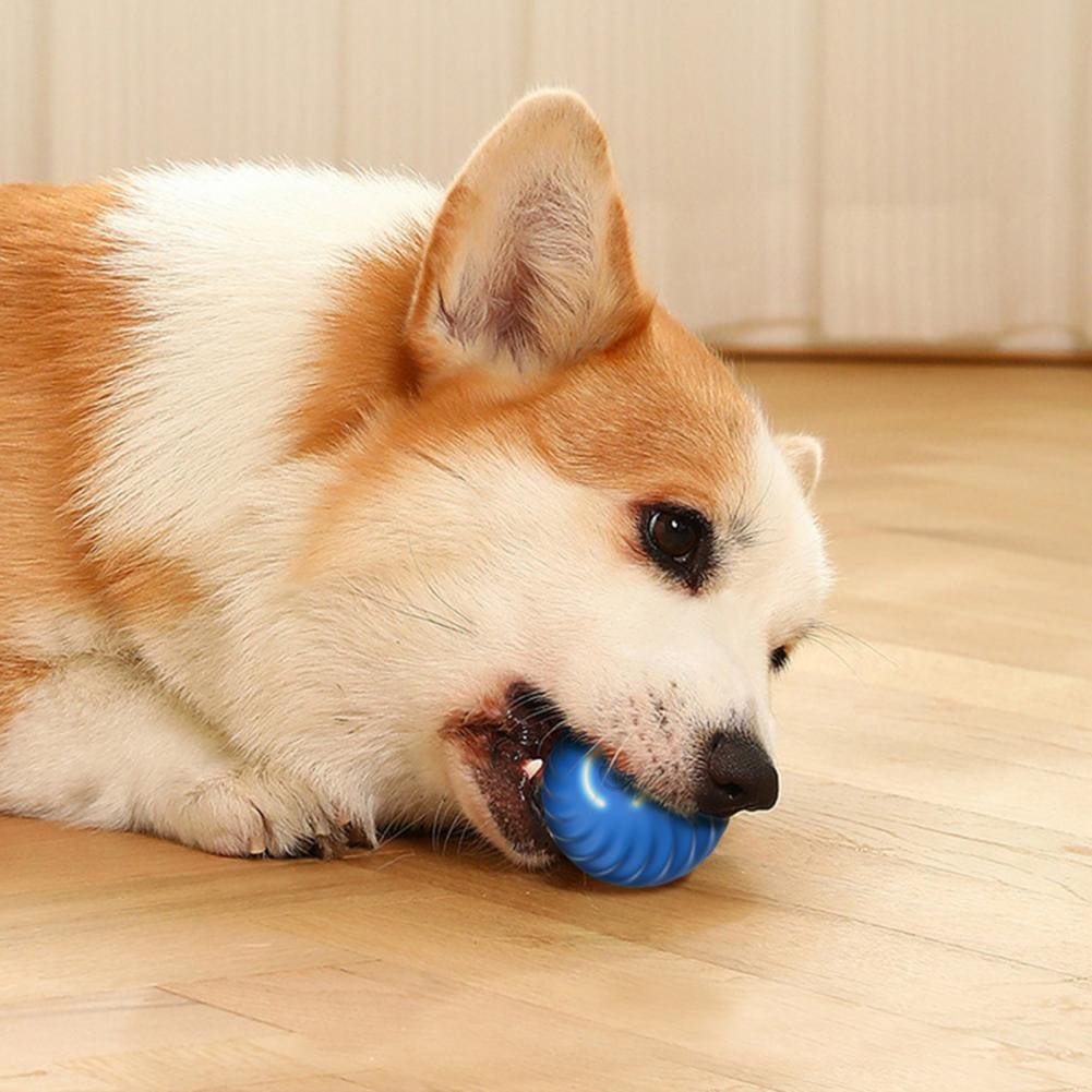 Dulce Girasol- 🎉 ¡La Pelota Inteligente para Mascotas que Revoluciona el Juego! 🐾