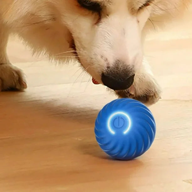 Dulce Girasol- 🎉 ¡La Pelota Inteligente para Mascotas que Revoluciona el Juego! 🐾