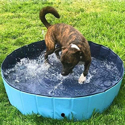 Dulce Girasol- 🏖️ Piscina Plegable Para Mascotas: ¡Diversión Acuática al Instante! 🐶💦